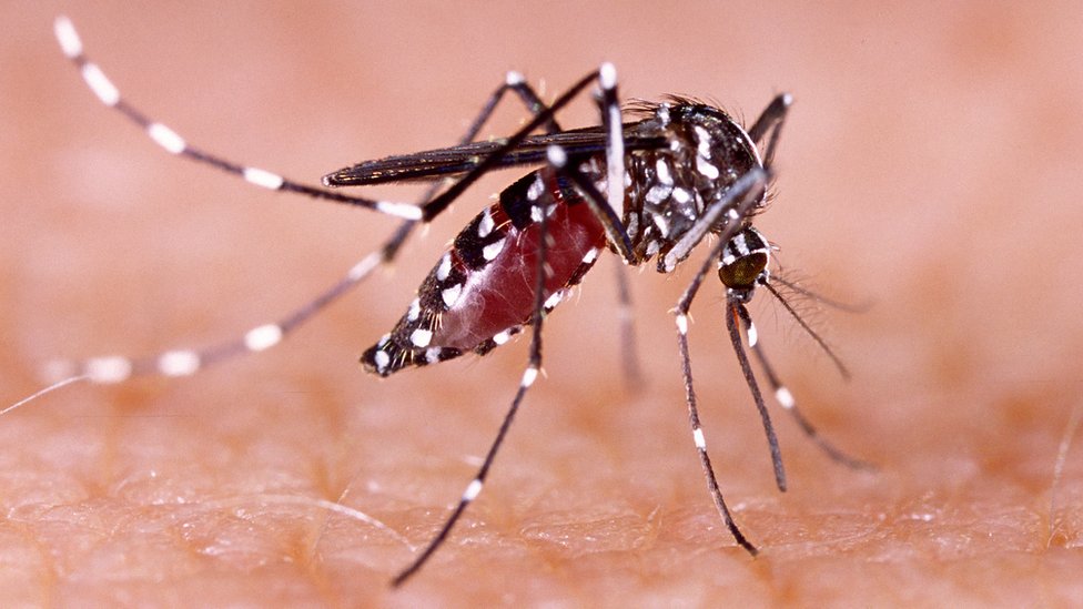 Dengue en Nicaragua