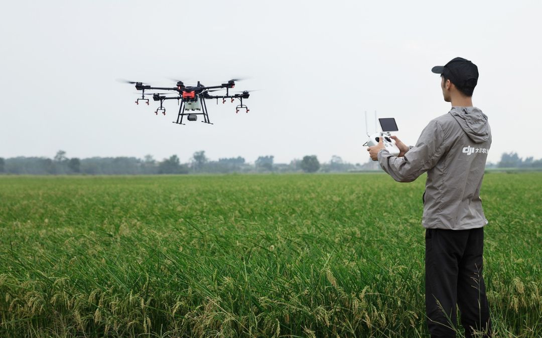 Las claves para entender la nueva ley que prohíbe el uso de drones