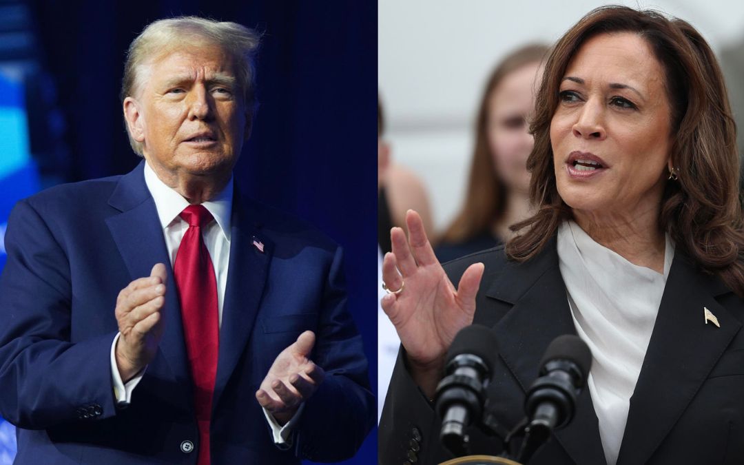 Trump y Harris preparan con estrategias muy distintas el crucial debate del martes