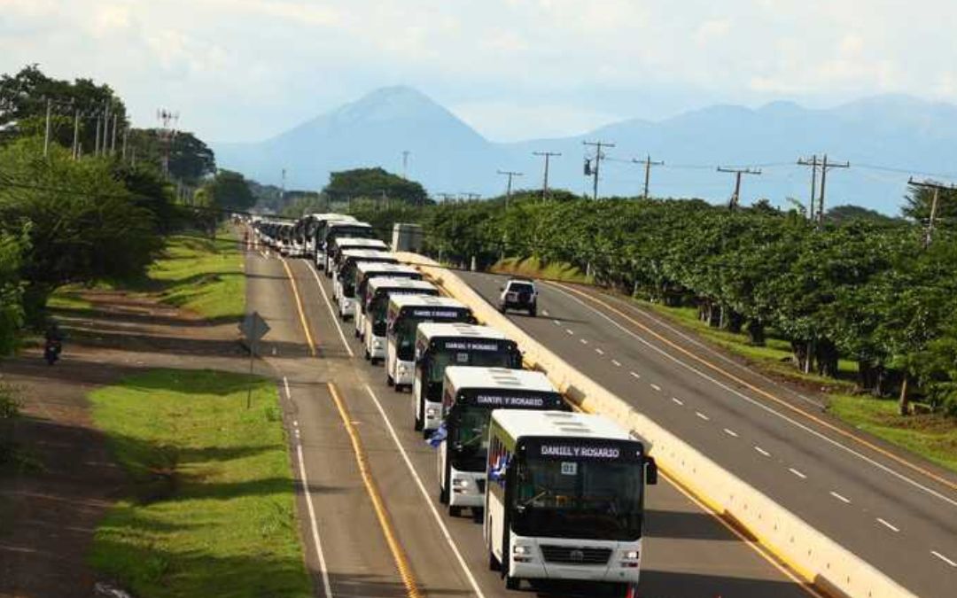 Los buses chinos son pagados por transportistas, el régimen solo es intermediario