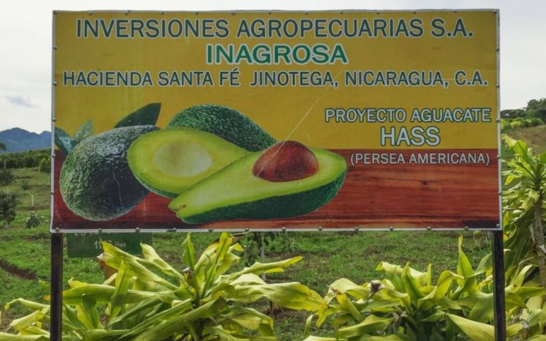 El caso Riverside Coffee - Nicaragua es una pésima señal para los inversionistas