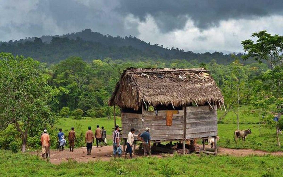 Denuncian la creciente invasión de colonos en territorios indígenas