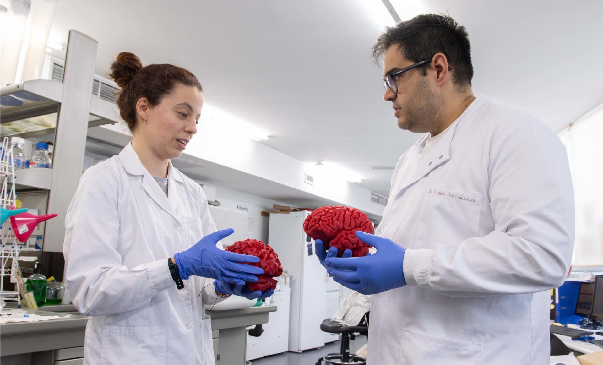 Cover image for Descubren un 'interruptor' cerebral clave en el autismo y la esquizofrenia