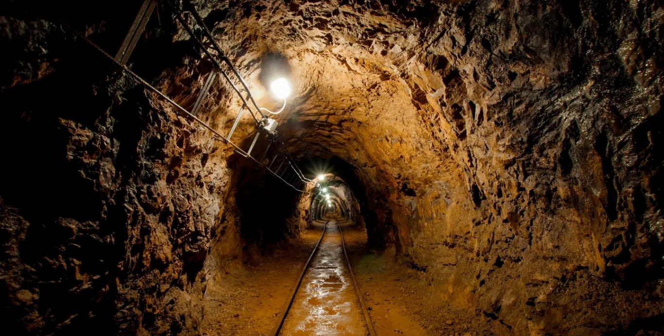 The Ortegas-Murillos hand over more mines to Chinese companies